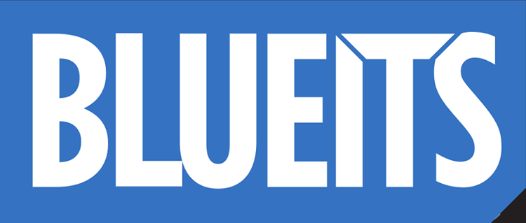 BLUEITS GmbH Logo