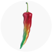 PEPperPRINT Logo